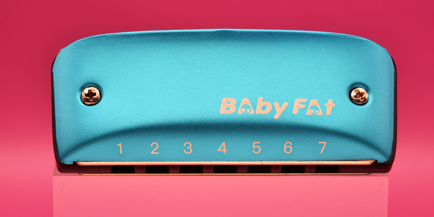 Baby Fat Harmonica by Kongsheng - 7 hole diatonic mini harmonica