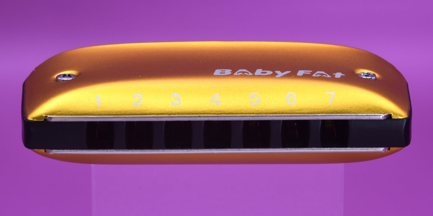 Baby Fat Harmonica by Kongsheng - 7 hole diatonic mini harmonica