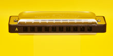 Carregar imagem no visualizador da galeria, DaBell Story 10 hole diatonic harmonica
