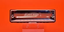 Load image into Gallery viewer, Easttop T002 10 hole diatonic harmonica