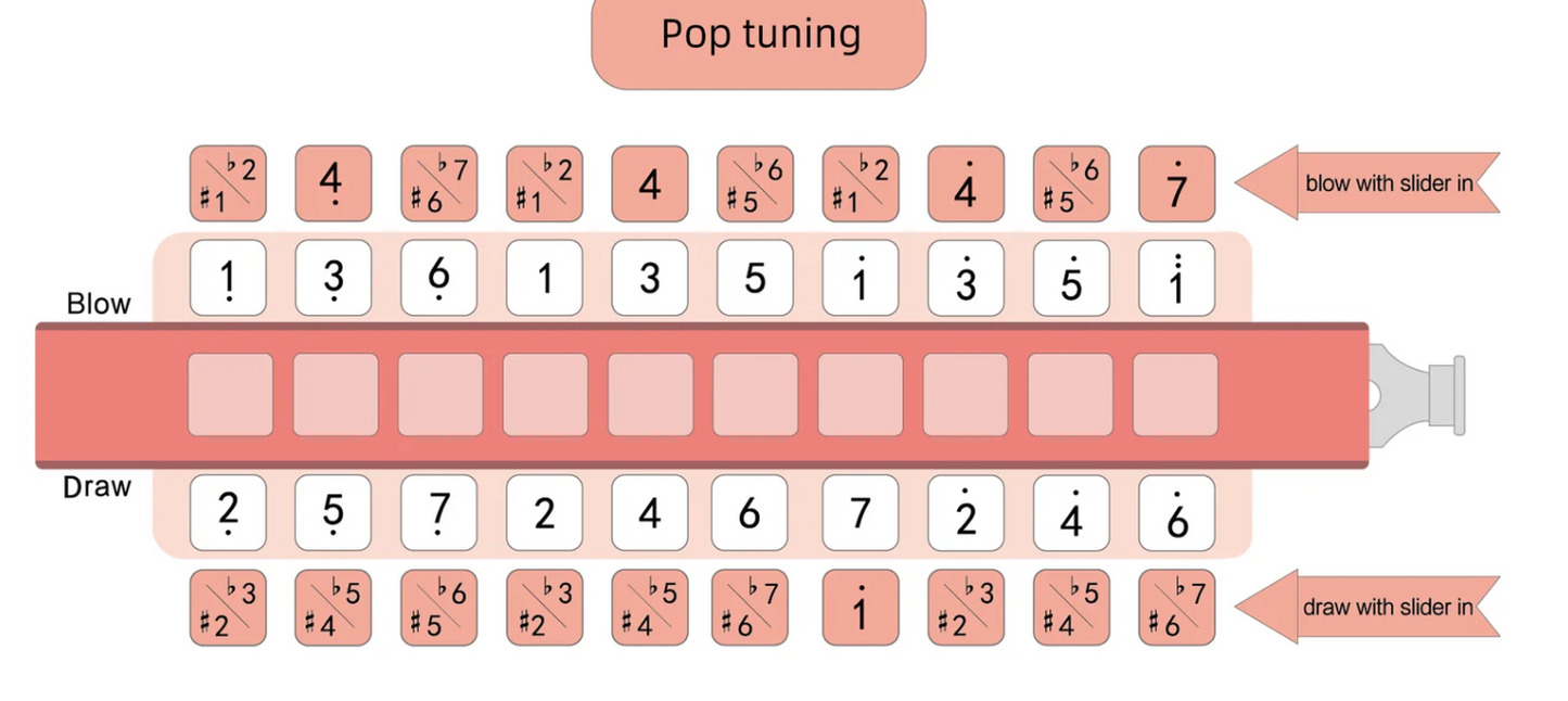 JDR Trochilus Pop Tuning